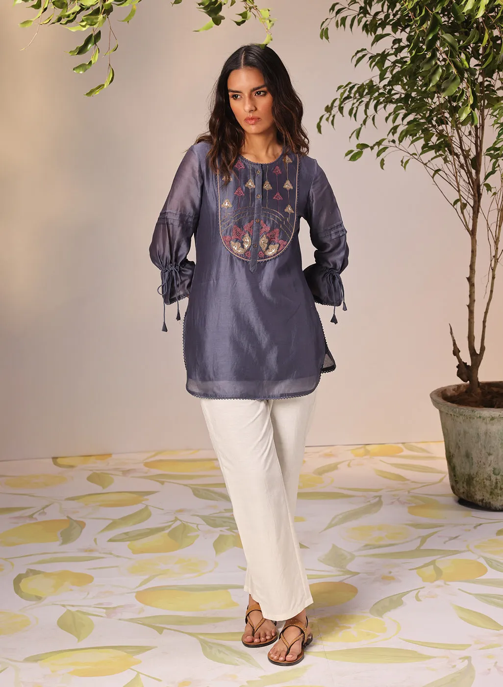 Aleena Iron Grey Embroidered Chanderi Top for Women